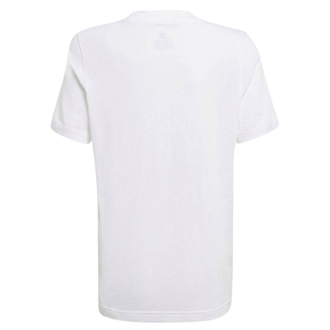 Adidas Graphic Tee Big Kids Style : Gn2302