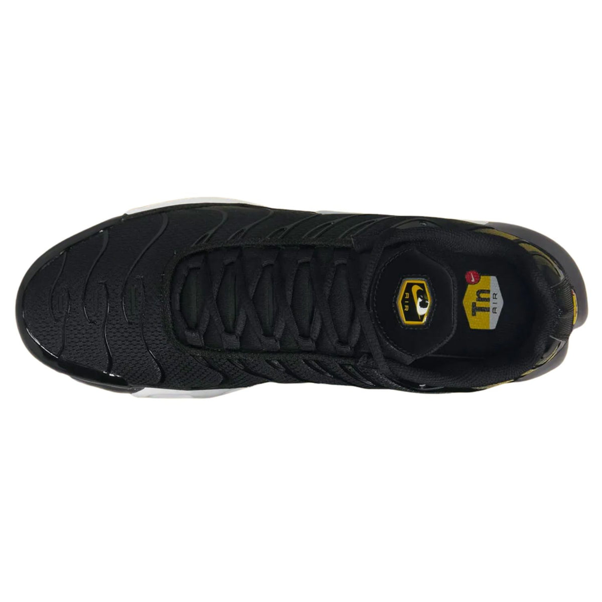 Nike Air Max Plus Mens Style : Dm0032