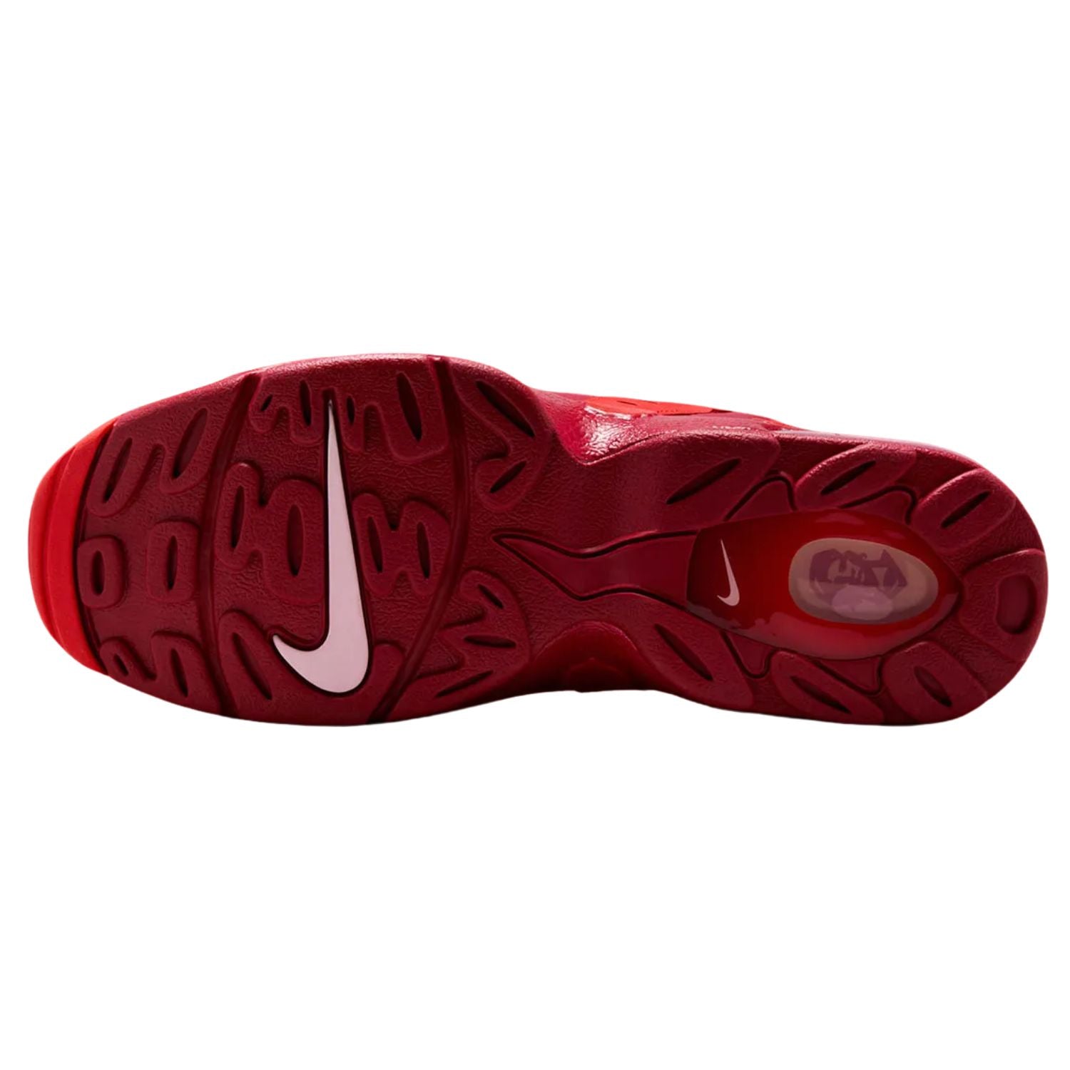 Nike Air Dt Max &