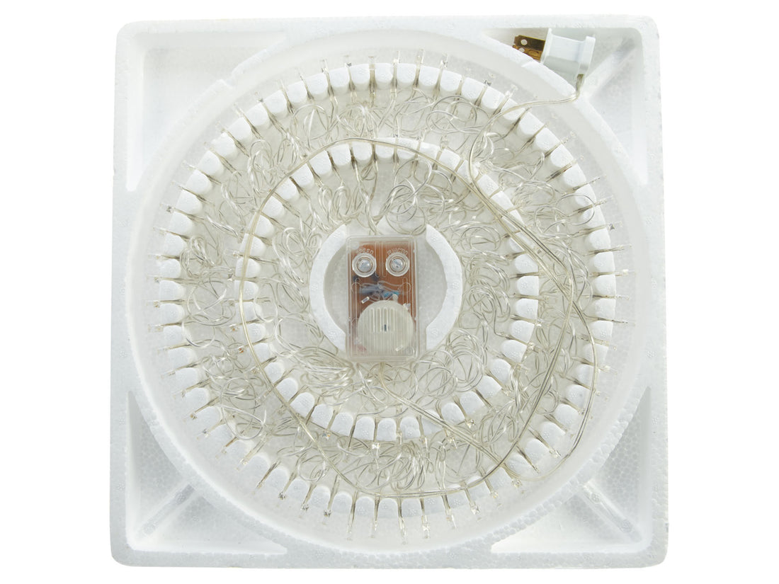 Everbright 100 Led X Mas Purple Light Not Applicable Style : Md100-p