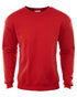 Champion Eco Crewneck Sweatshirt Mens Style : S600